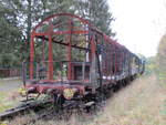 Im stillgelegten Bahnhof Tiefensee stehen diese ehemaligen Bauzugwagen.Aufgenommen am 02.November 2019.
