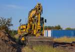 Liebherr Zweiwegebagger baut das überwucherte ehemalige Gleis 2 und den dazugehörigen Bahnsteig des damaligen Bahnhofs und jetzigen Haltepunkts Eggesin zurück. - 07.09.2014