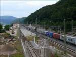 Ein Containerzug wartet im Grenzbahnhof Bad Schandau (Schsische Schweiz); 23.06.2010  