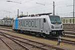 Portrait von Rpool/BLSC 187 003-9, als diese am Nachmittag 30.04.2019 zusammen mit Re 475 402 und Rpool/BLSC 187 008-8  Spitze seit einem Jahr - bls cargo  im nördlichen Vorfeld vom Badischen