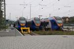 cantus-Parade mit Stadler Flirt im Bahnhof Bebra: Zu sehen sind (v. l.) 427 002 als CAN24090 (R7) von Bebra nach Eschwege, 428 007 und letztlich 427 056, der sich mit der Anzeige  Bis demnächst  wieder auf Fahrgäste freut. [1.5.2017 - 15:02 Uhr]