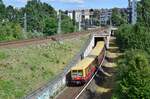 Vom S-Bahn Ring kommend fährt ein Zug der Br 485in Richtung Bornholmer Straße.