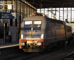 Am Bahnhof Zoo hält wieder ein Fernzug und zwar von der Firma Locomore die seit Dezember 2016 täglich von Stuttgart nach Berlin und wieder zurück fährt.