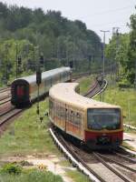 19.5.2012 BR 481 / S2 und EC 379 bei der Ausfahrt Richtung Zepernick.