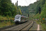 Mit dem Fahrrad von Kassel nach Halle (Saale) | Tag 5 Blankenheim–Zscherben  Strecken-km: 48,4    Mit einem Pfiff aus dem Tunnel erreicht 9442 113 (Bombardier Talent 2) den Bahnhof