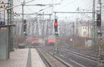 Trübe Stimmung, Nebel und Sprühregen zum Beginn der Reise nach Ceske Budejovice, Dresden Bahnhof Neustadt, ein  Hamster  nach Cottbus fährt aus, RE 50 aus Leipzig Hbf.