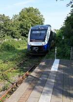 VT 648 445 der RheinRuhrBahn (RB 36) kämpft sich am 14.08.2023 durch den Dschungel am Endbahnhof Duisburg-Ruhrort