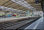 Blick in die große, moderne Bahnsteighalle in Erfurt Hbf von Gleis 2 bis 10.