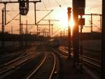 Die Abendsonne bringt die Gleise zum Leuchten.. 101 016 fährt auf dem Nachbargleis aus
Erfurt Hbf, 28.10.2011