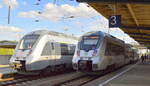 Im Bahnhof Falkenberg/Elster in Brandenburg treffen sich gleich mehrere Verkehrsverbünde an einem Bahnhof, die RB 51 nach Lutherstadt Wittenberg mit dem Talent 2  1442 161  vom Verkehrsverband