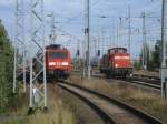 Am Ende vom Bahnsteig in Mukran West konnte man,am 13.August 2013,die WFL Lok Nr.10 und die leicht versteckende 189 063 ausfotografieren.