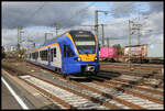 Einfahrt des Cantus Triebwagen 428002 aus Kassel am 23.10.2021 um 13.49 Uhr in den HBF Fulda.