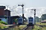 1649 410 und 1648 431 stehen in Haldensleben im Bahnhof. Rechts in orange geht gerade der Reisendensicherer seiner Arbeit nach. Seit 2019 gibt es ihn in Haldensleben da sich die Fahrgäste hier des öfteres unangemessen verhalten haben. Auf der ganzen Strecke gibt es den Reisendensicherer nur in Haldensleben. Das Bild wurde vom Bahnübergang aus gemacht.

Haldensleben 02.08.2021