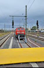 218 499-2, die von Juni bis August auf den 9-Euro-Ticket-Ersatzzügen zwischen Magdeburg und Goslar fuhr, ruhte sich in Halle(Saale)Hbf auf dem Stumpfgleis 150 aus.