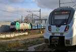 Während in Halle(Saale)Hbf auf Gleis 13 die S-Bahn nach Zwickau(Sachs)Hbf bereitsteht, rattert auf den Gütergleisen ein Kohlezug der PKP Cargo S.A. mit 186 245-7 (91 51 5270 005-9 PL-ATLU) gen Norden.

🧰 Alpha Trains Luxembourg No.2 S.à r.l., vermietet an die CFL cargo Deutschland GmbH
🕓 22.11.2023 | 12:38 Uhr