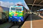 DB Gebrauchtzug 111 074-1 als RB49 am 05.11.22 in Hanau Hbf 