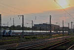 Morgenstimmung im Bft Leipzig-Volkmarsdorf (gehörig zu Leipzig Hbf) nahe der Brandenburger Brücke, in dem mehrere Intercity-2-Garnituren (IC2) abgestellt sind.
Aufgenommen aus RE 27754 (RE6) von Leipzig Hbf nach Chemnitz Küchwald.
[25.8.2019 | 7:23 Uhr]