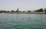 Im Juni 2012 bei hherem Wasserstand ein Tretboot gemietet, um aus einer anderen Perspektive den Bodenseebahndamm von Lindau zu fotografieren.