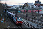 Im letzten Licht des Tages durchfährt ein Containerzug (Group-GTS) mit 193 472-8  Köln  (Siemens Vectron) der LokRoll AG, eingestellt bei der Siemens Mobility GmbH und vermietet an die SBB