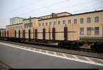 Blick auf einen mit Holz beladenen Flachwagen, der in einem gemischten Gz im Bahnhof Merseburg zu sehen und zu riechen ist.