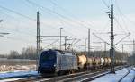 Mit dem Ziel Schwedt(O) fuhr 183 500 am 24.03.13 den Bahnhof Muldenstein Richtung Wittenberg.