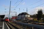 Umbau Bf Neubrandenburg - 02.11.2017 - 442 355 als RE 5 