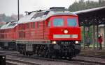 241 353 kommt am 28.08.10 aus Coswig zur�ck.