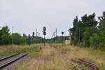 Nebenbahn Idylle in Pretzsch.