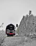 auch dieses Jahr gibt sich 01 0509 die Ehre zum Bahnhofsfest in Putbus
und kommt Lzv von Bergen nach Putbus