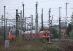  Parallelausfahrt  in Coswig ....11.04.2014 17:30 Uhr.natürlich nur eine Begegnung im Mastwald von Coswig.