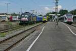  Full House  in Radolfzell am 30.07.2021 - VT 252 der HzL/SWEG nach Stockach, 147 575-5 der DB mit den Wagen des RE / IC von Singen nach Stuttgart, ES 64 U2 - 018 für die RDC Deutschland GmbH mit