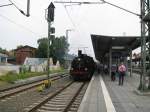 Dampflok BR 91 134 -DR- mit dem Sonderzug der MEF am Bahnsteig 4a zur Abfahrt nach Ludwigslust, Schwerin Bf 15.08.2009