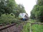 Da war die Fahrt fr den VT 706 der OLA Schwerin auf der Fahrt nach Rehna auch schon wieder hinter Schwerin Warnitz am 20.06.2011 fr ein paar Minuten vorbei