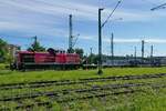 Fahrt durchs Grüne - Im Bahnhof von Singen (Hohentwiel) schiebt 294 586-3 Container-Tragwagen in Richtung Terminal (12.06.2020).