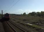 Lt  man den Blick ber das nrdliche  Vorfeld des Bahnhofes Weienfels schweifen,  ahnt man wie umfangreich die Gleise zur Behandlung von Gterzgen einstmals waren.