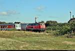 Während 928 521-4  Archsum  der DB Fernverkehr AG am BÜ Königskamp auf Einfahrt in den Bahnhof Westerland(Sylt) wartet, wird er von 218 488-5 der Railsystems RP GmbH als IC 2310