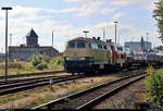 Interessantes Fahrzeugmaterial beim Autotransport von und nach Sylt (X):
218 480-2 und 218 466-1 der Railsystems RP GmbH als AS 1449 (Sylt Shuttle) nach Niebüll Autoverladung verlassen den Startbahnhof Westerland(Sylt) Autoverladung.
Am Zugschluss befindet sich 928 521-4  Archsum  der DB Fernverkehr AG als D 1449 nach Bredstedt.
Aufgenommen im Gegenlicht vom BÜ Königskamp.
[3.8.2019 | 17:06 Uhr]