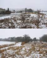 24.2.2013 Oderbruchbahn zwischen Gro Neuendorf (Blickrichtung oben) und Kienitz (unten).