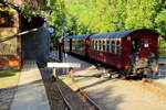 Bahnhof Alexisbad am Abend des 22.08.2020. Soeben ist 99 7240 mit P 8964 (Eisfelder Talmühle - Quedlinburg) eingelaufen. Hier muß jetzt Wasser genommen und die Kreuzung mit einem Plantriebwagen abgewartet werden.
(Achtung! Dieses Bild war bereits freigeschalten!!)