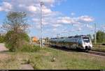 9442 112 (Bombardier Talent 2) von Abellio Rail Mitteldeutschland als RB 74784 (RB75) von Halle(Saale)Hbf nach Sangerhausen verlässt den Bahnhof Angersdorf auf der Bahnstrecke Halle–Hann.
