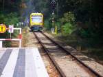 Einfahrt im Bahnhof Bad Saarow-Klinikum
