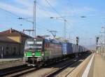 193 210 von ELL  SBB Cargo  zieht am 01.November 2014 einen Containerzug durch Bamberg in Richtung Nrnberg.