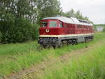 Durch das mannshohe Gras k�mpfte sich die EBS 142 001,am 30.Mai 2026,in Bergen/R�gen.