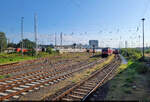 Die Abstellanlage des Bahnhofs Berlin-Lichtenberg, fotografiert aus dem offenen Fenster des DZ 28968 Leipzig Hbf–Warnem�nde beim Rangieren.

🕓 9.8.2025 | 8:29 Uhr