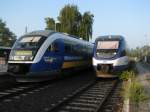 VT 564 Desiro der Mrkischen Regiobahn und VT Talent der OLA Neubrandenburg warten zusammen im Bahnhof von Brandenburg HBF auf neue Aufgasben am 11.09.2010