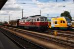 Hier links 232 045-5 mit einem gemischten Gterzug und rechts 445 101-9 als RE2 (RE37366) von Wismar nach Cottbus, diese beiden Zge standen am 19.7.2013 in Cottbus.