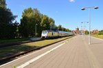 246 006-1 mit einer RE5 nach Hamburg Hbf am 9.9.2016 in Cuxhaven.