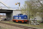Am 16.02.2024 pausierte die Raildox 203 116-9 in Dessau Hbf.