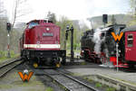 Die Diesellok 'Harzkamel' fährt mit dem Dieselzug von Nordhausen in den Bahnhof Drei Annen Hohne ein.
