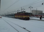 Die CD 371 001-9  Lucka  fhrt als EC 174 nach Hamburg-Altona auf Gleis 17 ein. 28.12.2010